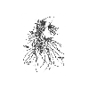 La mer - Poisson - Coton Lisse  Froid - 20 x 30 cm