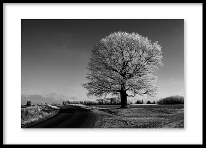 Encadrement photo fine-art